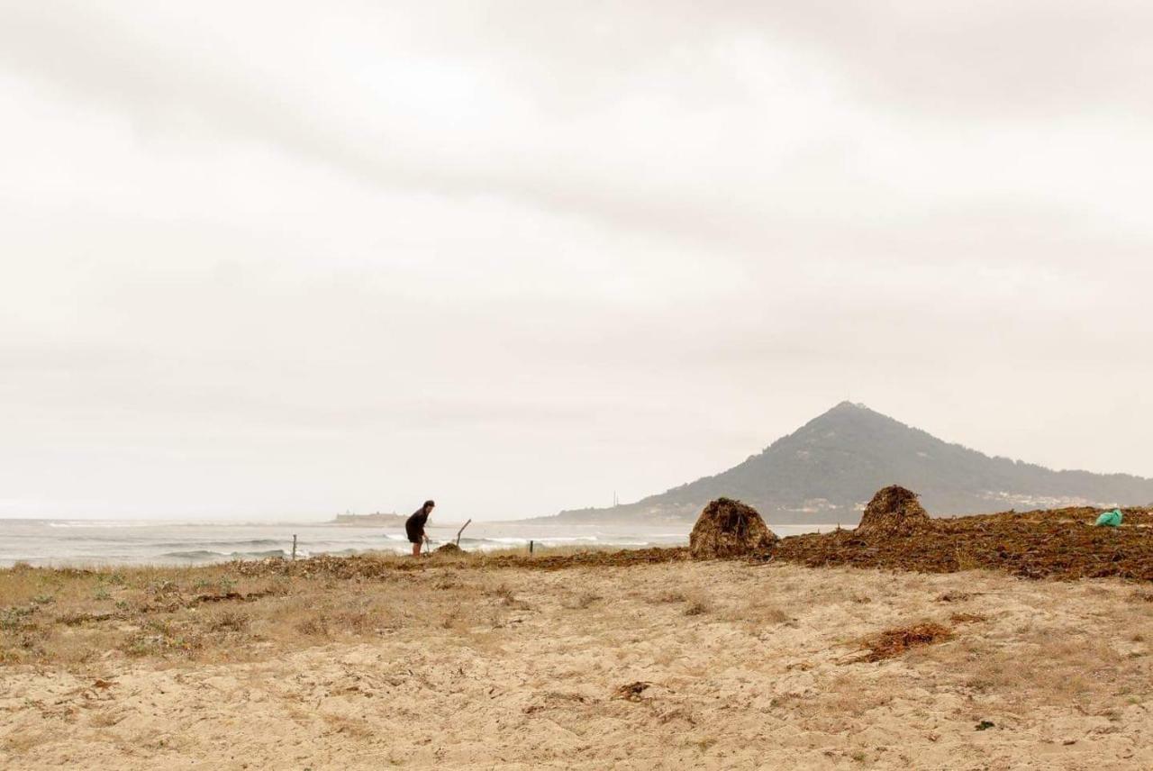 Beach-Surf House โมเลโด ภายนอก รูปภาพ